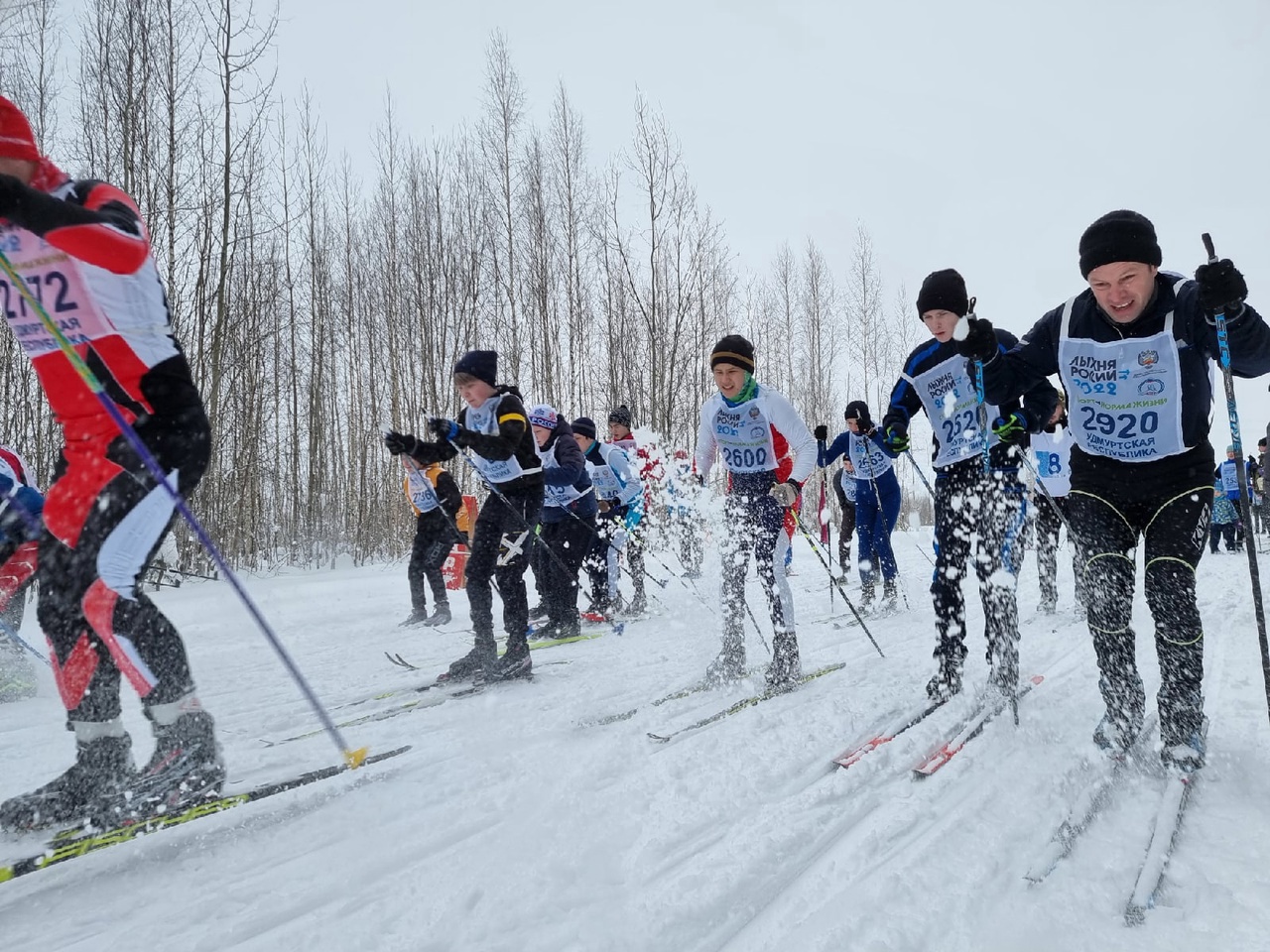 Спорт и физкультура в школе